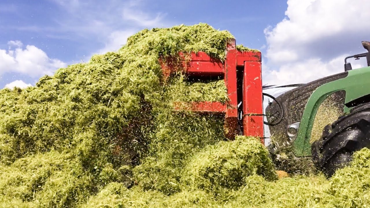 Roggen Silieren//Lohnunternehmen J&J//FENDT Traktoren im Einsatz
