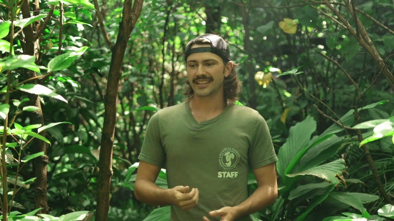 Hawaii Olona Documentary
