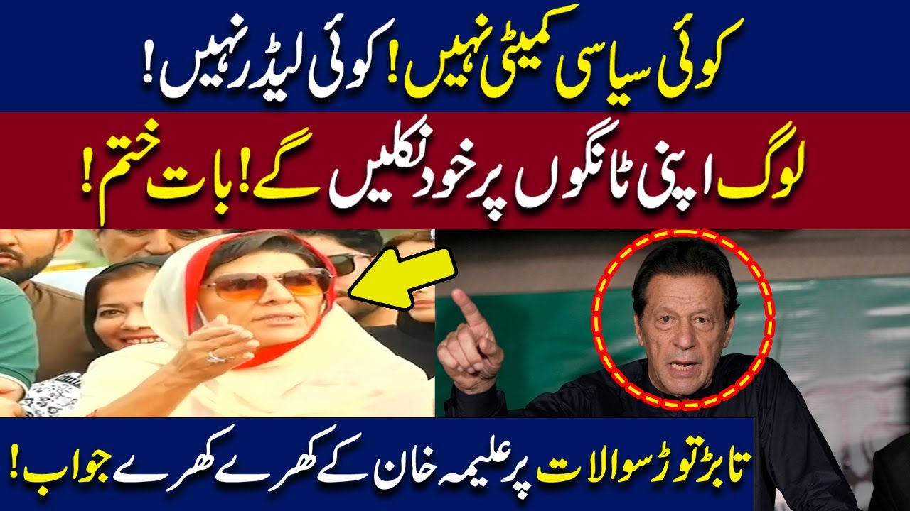 Aleema Khan Hard Hitting Media Talk on 24 Nov Protest Call|  Imran Khan message| WE News