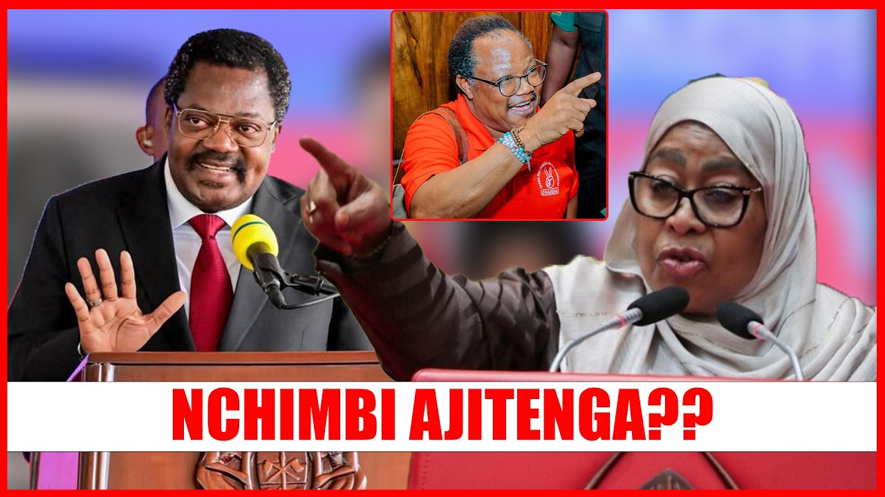 NCHIMBI AJITENGA? VUMBI LAKE LATIKISA VIGOGO NDANI YA CCM,WENGI WASHANGAZWA NA KAULI ZAKE