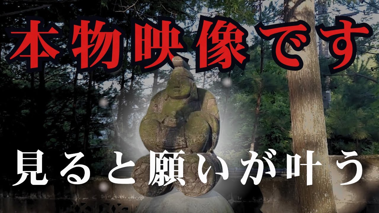 ⚠️本物映像です⚠️見ると願いが叶う｜長野県飯田市宮の前大宮諏訪神社の奇跡エネルギー｜金運爆上がり・財運上昇・臨時収入・厄除け・良縁・成功運・健康長寿・人生の勝利への導きの強力な御神徳を授かる特別参拝