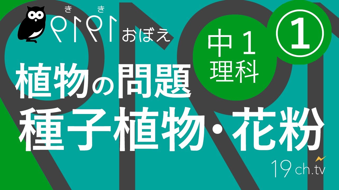 中1理科（1）種子植物・花粉（植物） #聞き覚え