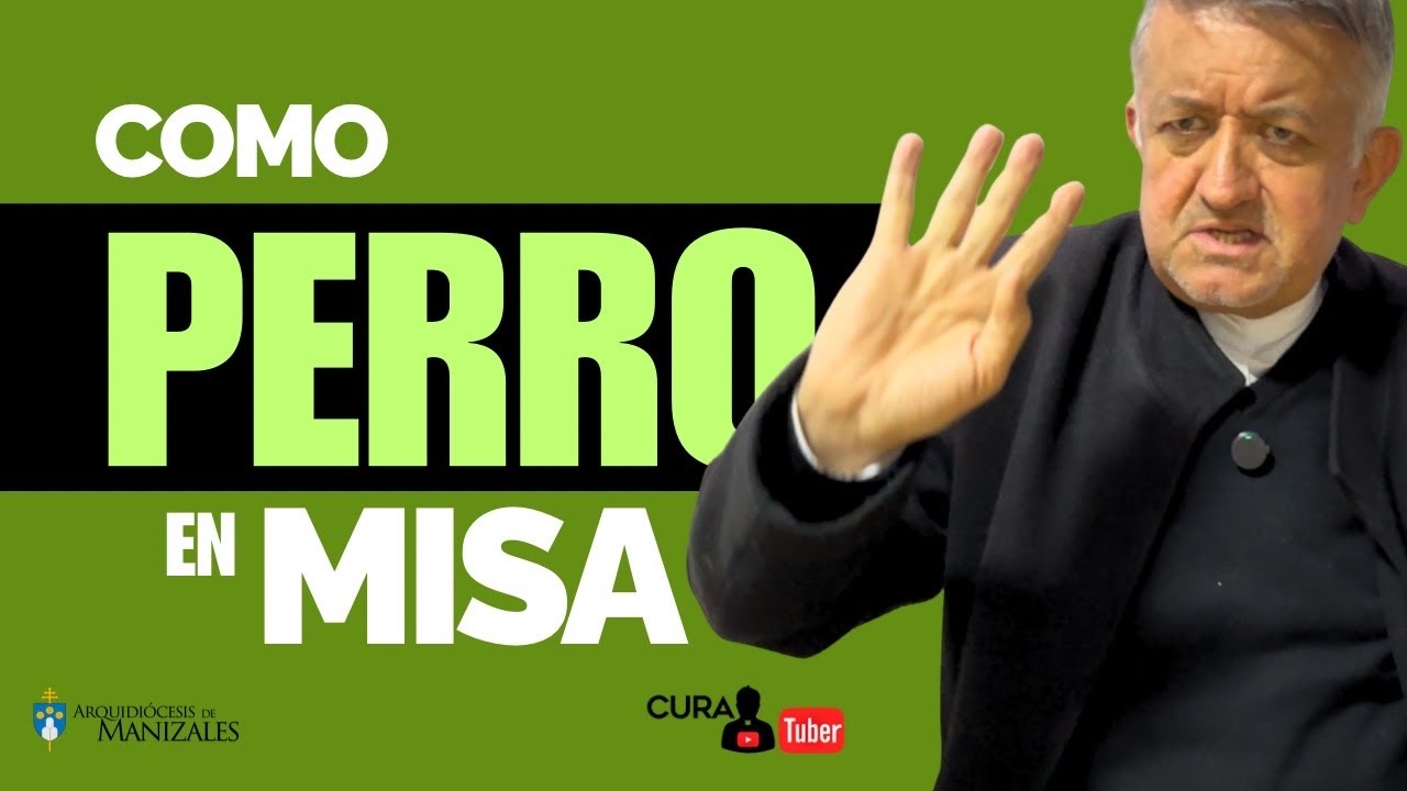 ¿Se pueden llevar perros a misa? 🐶⛪ | El Curatuber explica también el vestuario adecuado