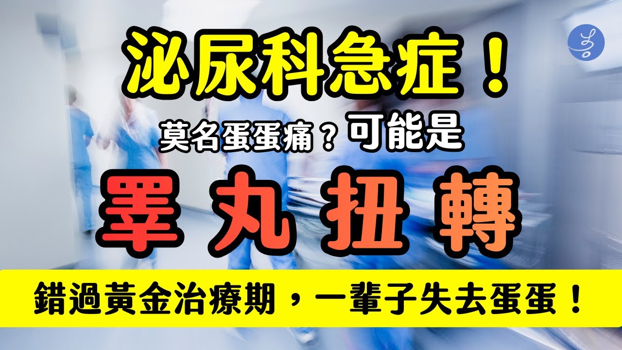 男性必看！泌尿科急症！以為蛋痛只是「撞到」「發炎」？過幾天就好了？很有可能是【睪丸扭轉】 錯過黃金手術時段，將一輩子失去蛋蛋....