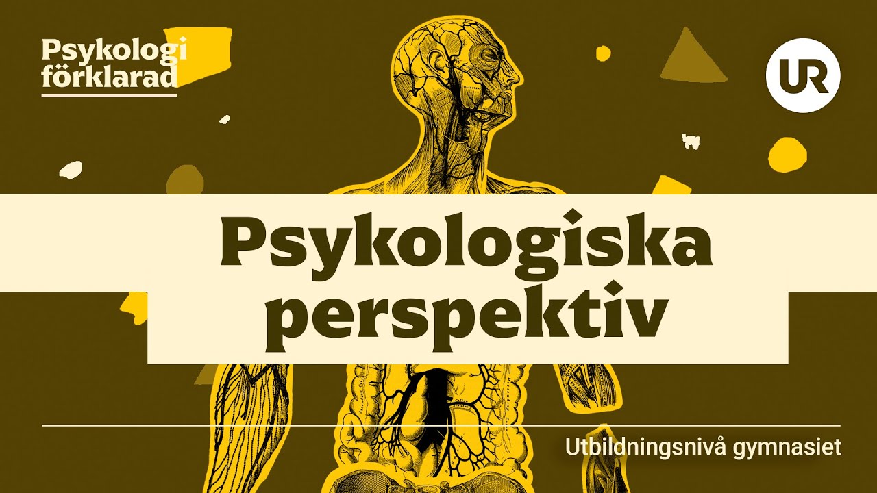 Psykologiska perspektiv förklarade | PSYKOLOGI | Gymnasienivå