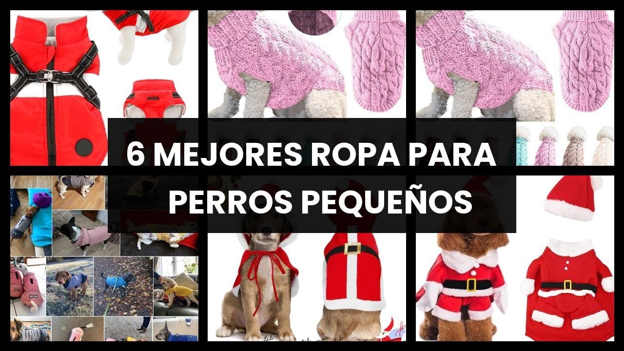 Ropa para perros peque&ntilde;os: 6 mejores ropa para perros peque&ntilde;os