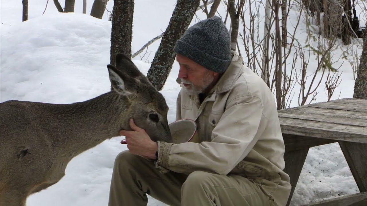 My friend, Nora#deer