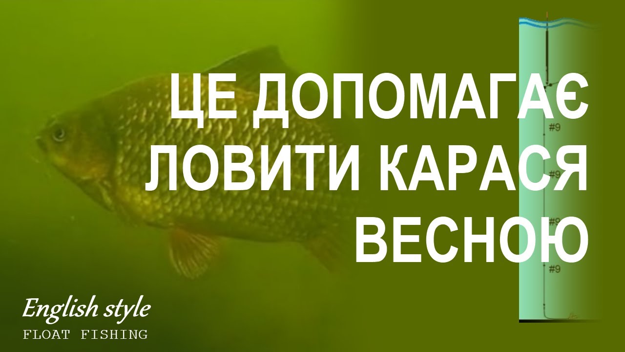 Ловля карася на поплавок весною | Оснастка, вибір місця та тактика ловлі