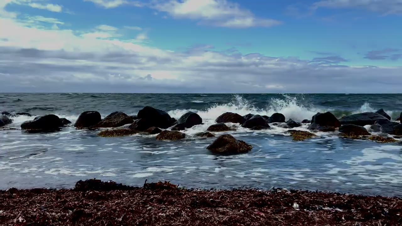 Dovns Klint, Langeland – Cinematic Nature Video with Original Music