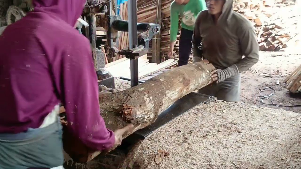 PROSES MAHONI DARI UKURAN 235 SANGAT MANGUNTUNGKAN