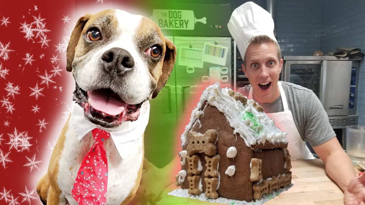 Dog eats ENTIRE gingerbread house! (Home-Cooked Vs. $1000 inspired we also try cutting soap)