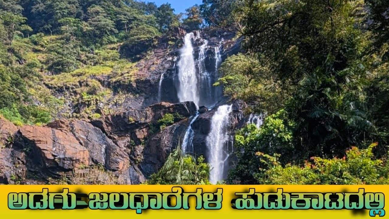 ರಕ್ತ ಹರಿಸಿ ಫಾಲ್ಸ್ ನೋಡಿ ಬಂದ ಕಥೆ | ಕಾಲಿಟ್ಟಲೆಲ್ಲ ಜಿಗಣೆಗಳ ದಾಳಿ | ಅಡಗು ಜಲಧಾರೆಗಳ ಹುಡುಕಾಟದಲ್ಲಿ 😍😍😍