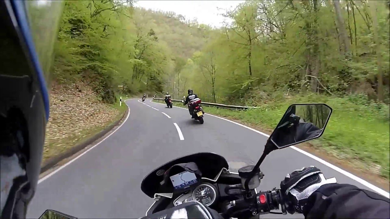 stowe hogs in bad bertrich germany 2016