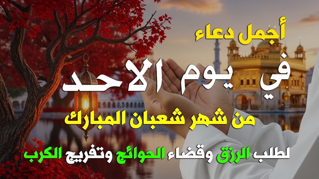 دعاء فى يوم الاحد المستجاب دعاء يوم 20 من شهر شعبان للرزق والشفاء العاجل وقضاء الحوائج 🤲(4k)