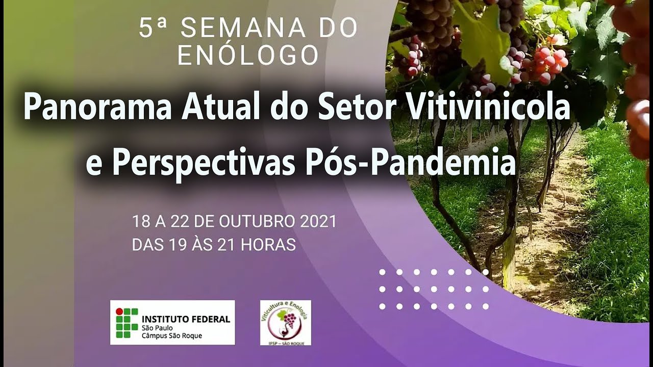 Panorama Atual do Setor Vitivinicola e Perspectivas Pós-Pandemia