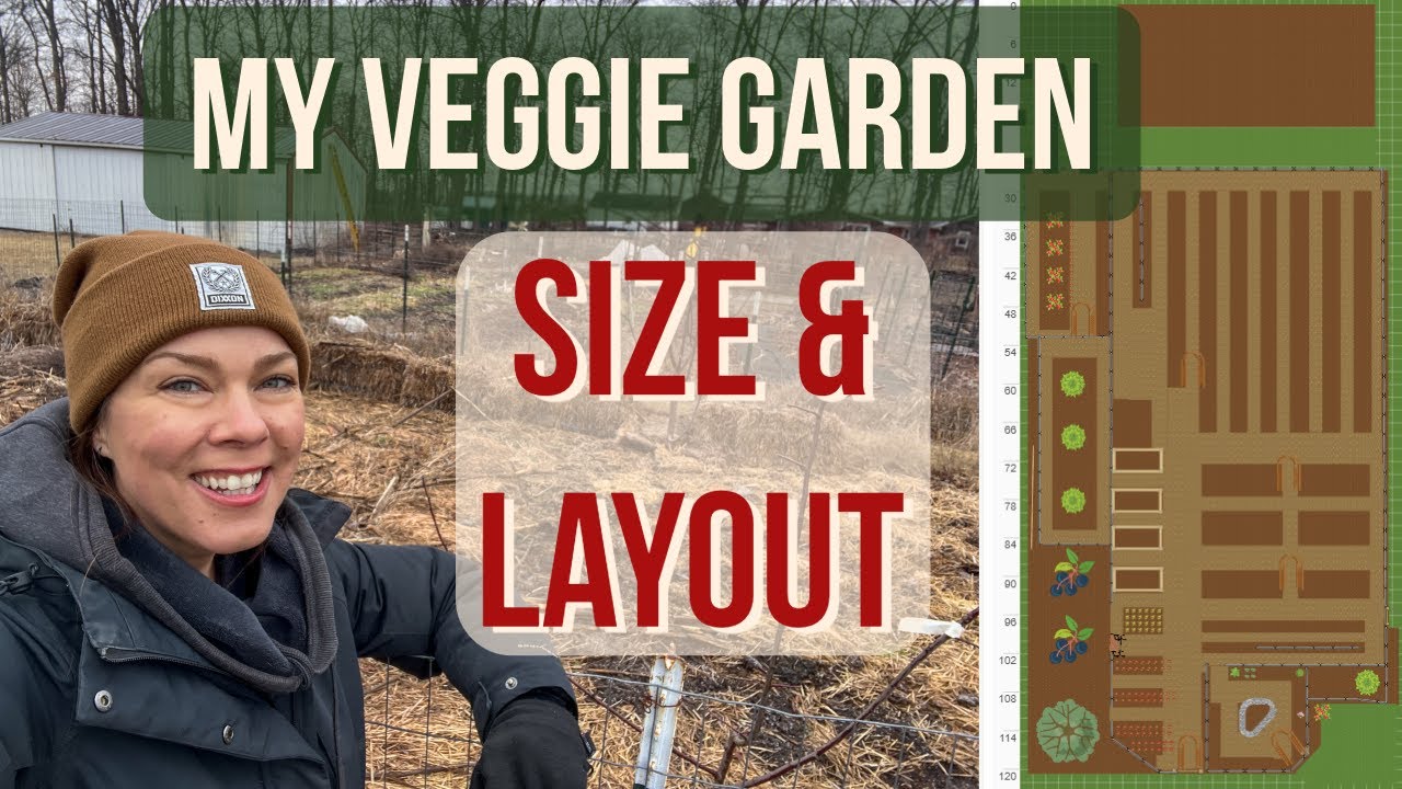 My Vegetable&nbsp;Garden Size and Layout:&nbsp; 2025