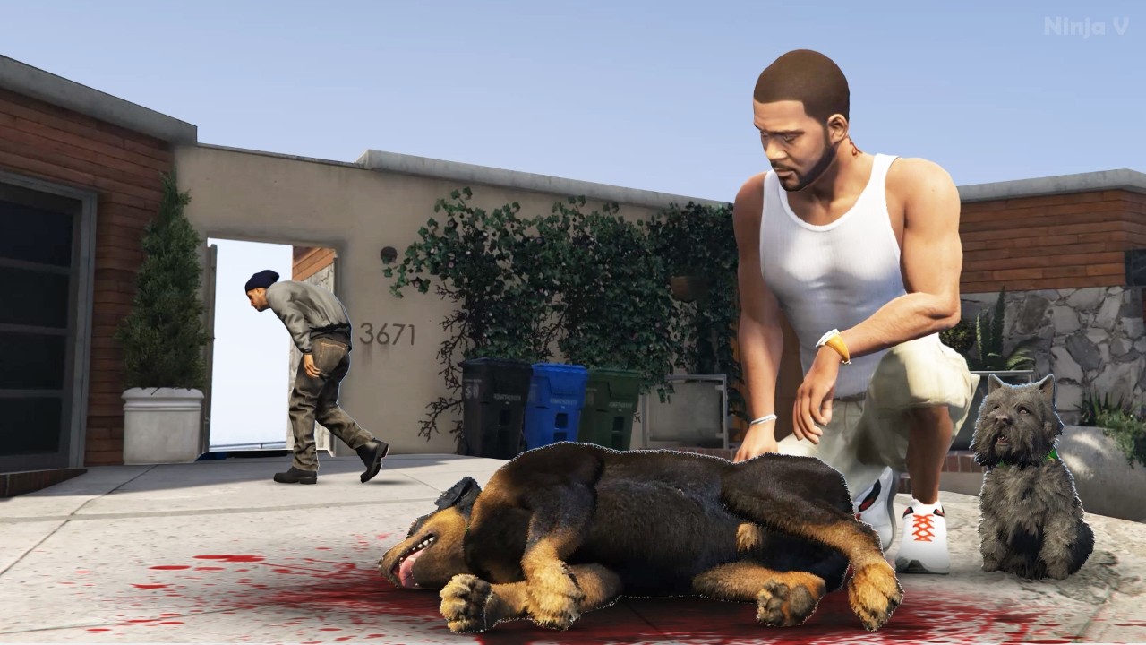 GTA V - When Someone Hurts Chop