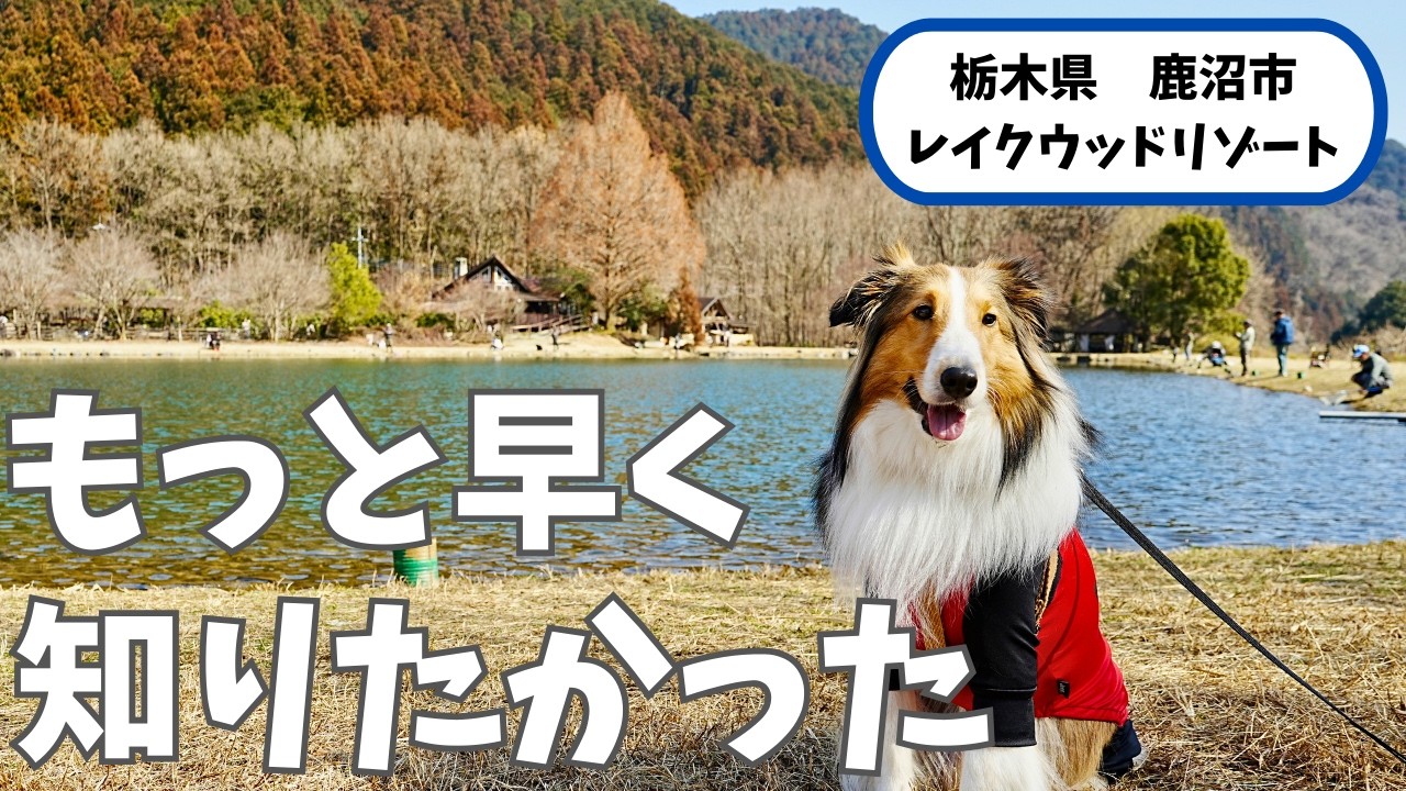 知らなきゃ損。犬連れで行ける穴場リゾート見つけた