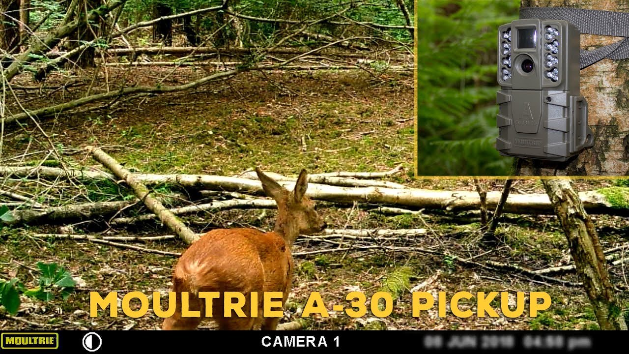 Moultrie A-30 Trail Camera Pickup