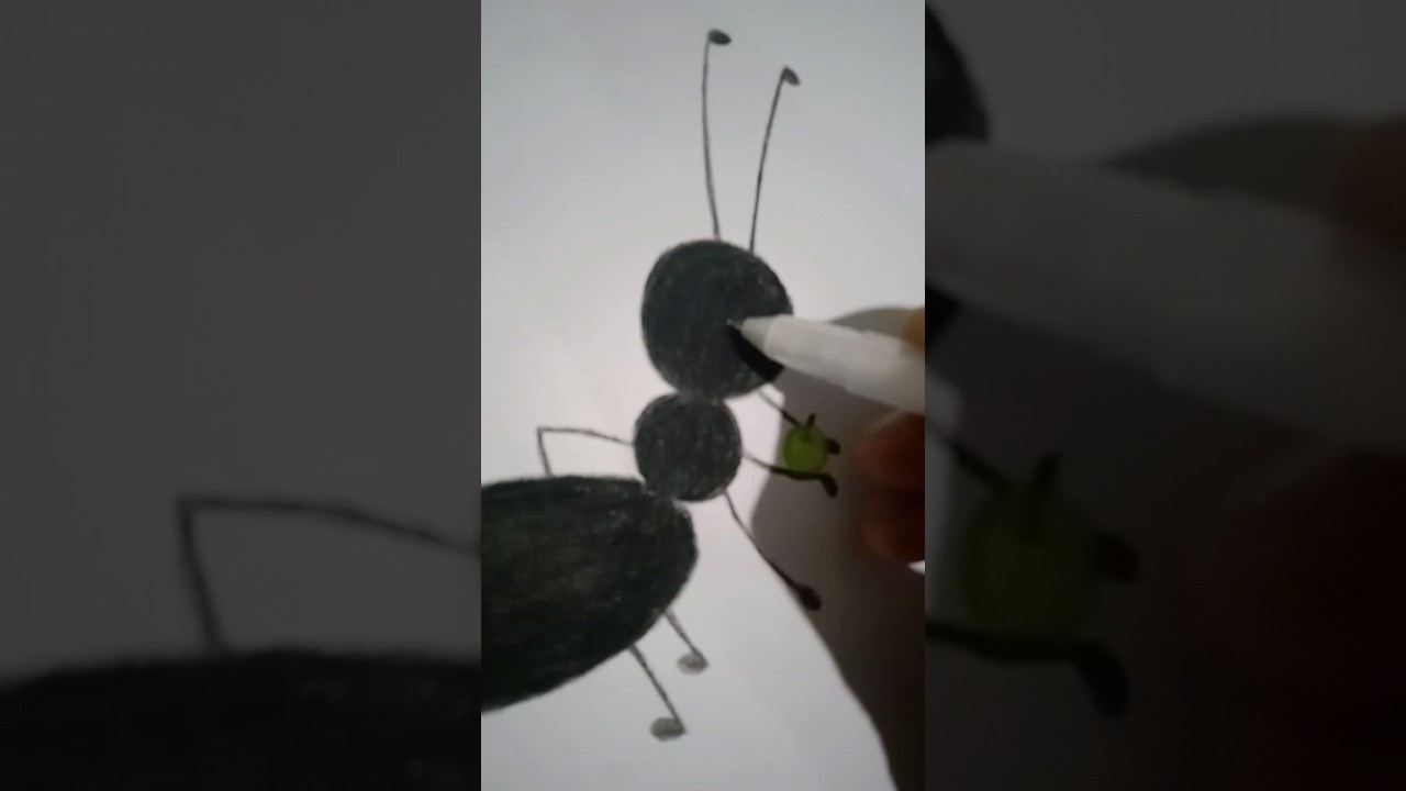 easy ant drawing 