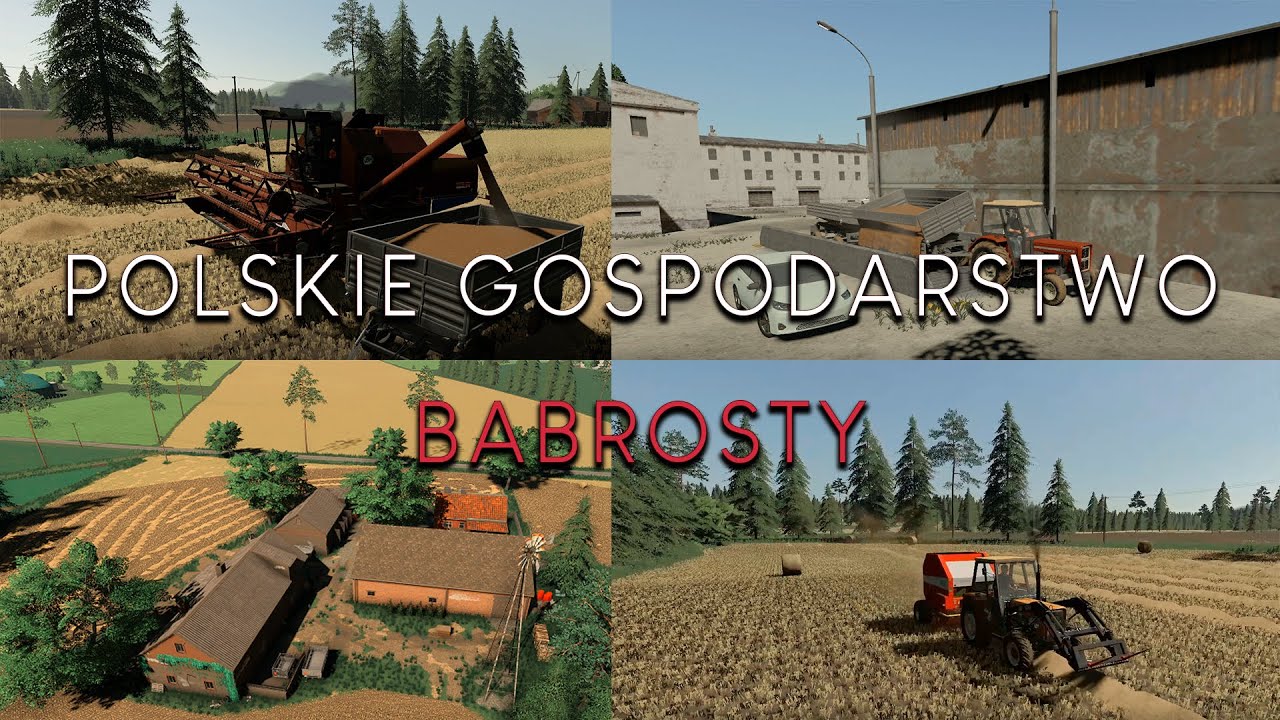 Żniwa z Bizonem 2020 | Babrosty | Własne gospodarstwo - wyszło świetnie! #1 FS19
