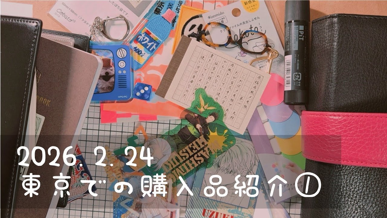 ❤️New手帳❤️【購入品紹介動画】