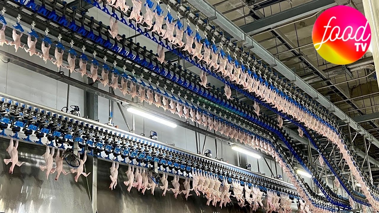 INCR&Iacute;VEL F&Aacute;BRICA DE FRANGO COREANA - PROCESSO DE PRODU&Ccedil;&Atilde;O EM MASSA DE SOPA DE GALINHA