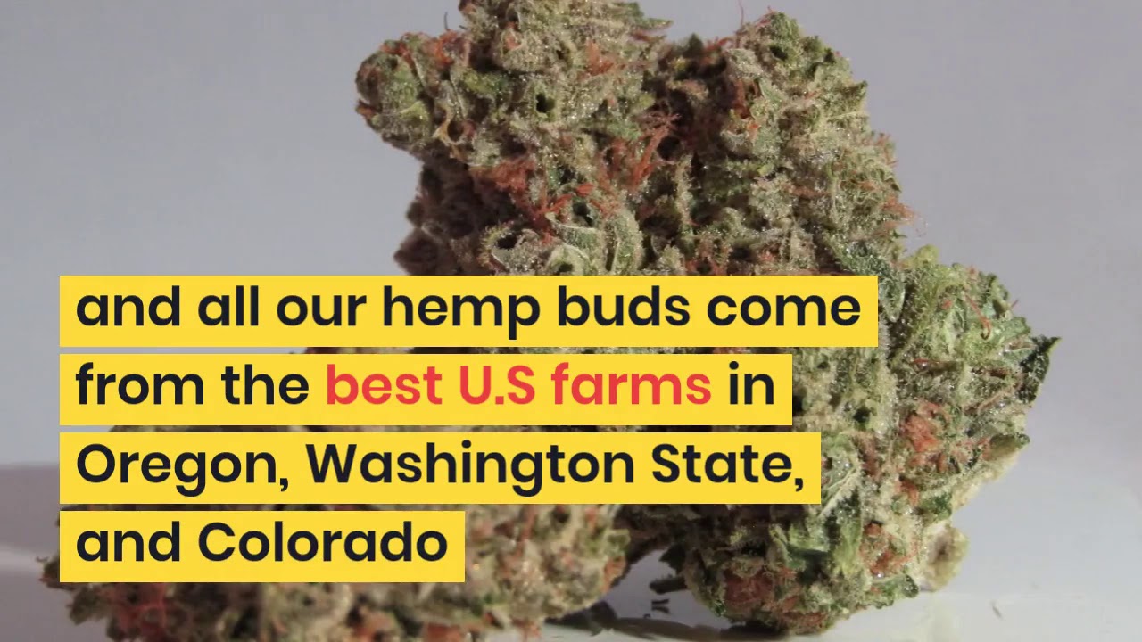 Buying Hemp Flower In Kansas, Is It Legal?