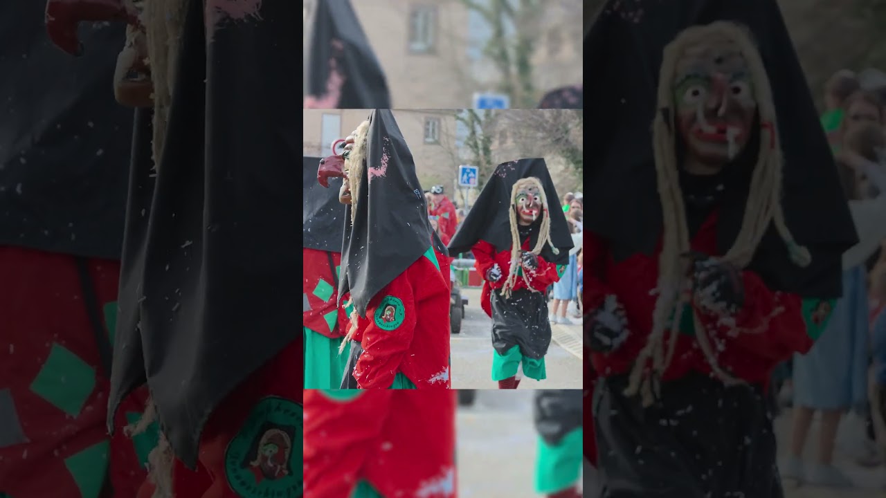 Cavalcade de Saverne 2025! Donaueschingen #carnaval2025 #Saverne