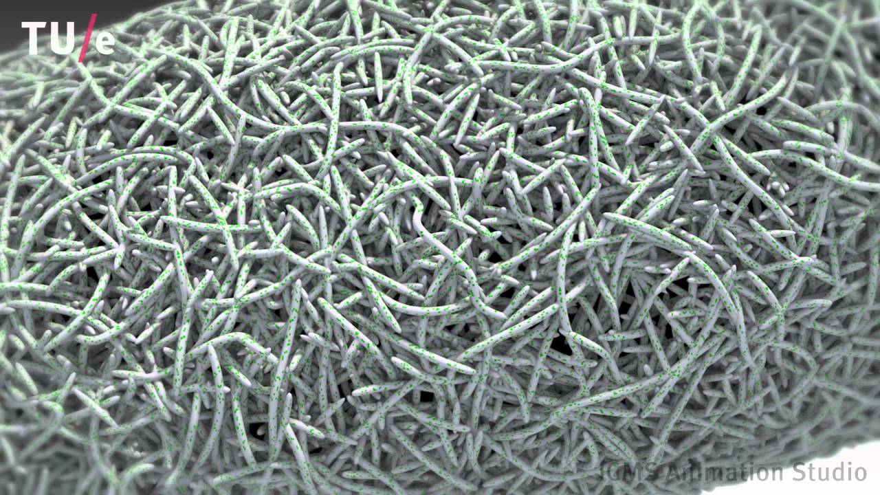 Instructive Supramolecular Scaffolds for In Situ Cardiovascular Tissue Engineering