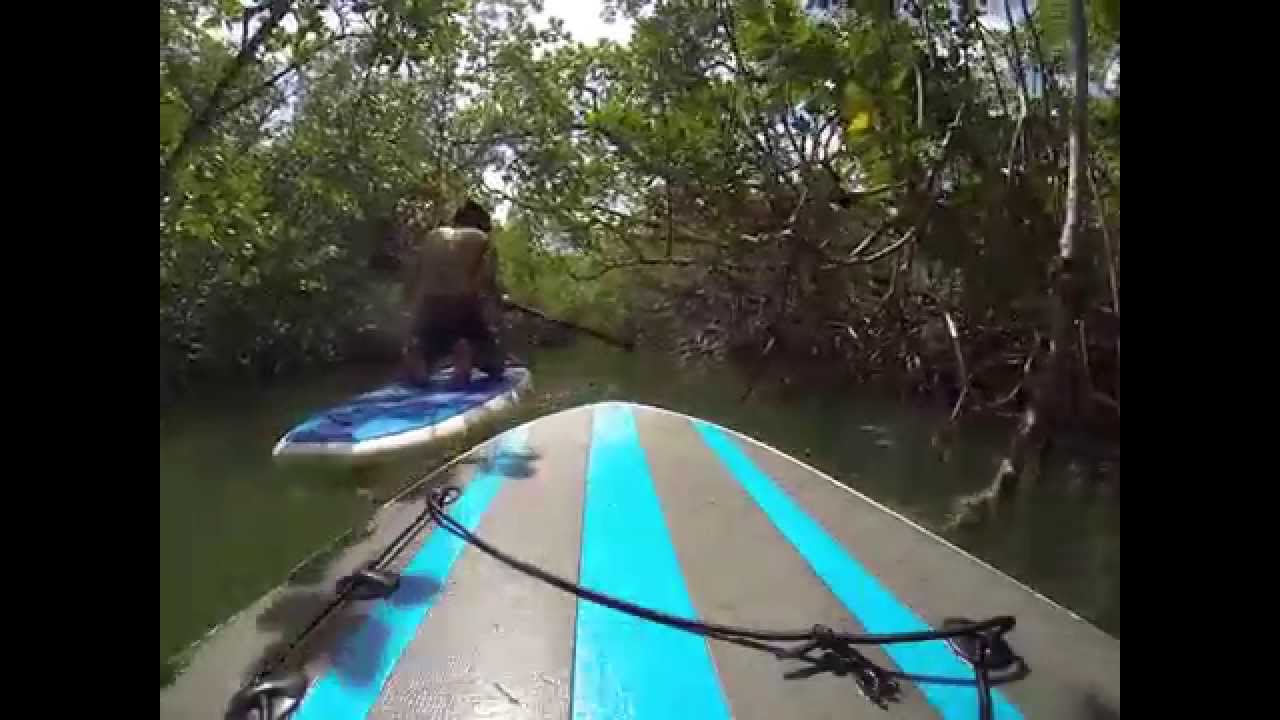 paddle board(key west)