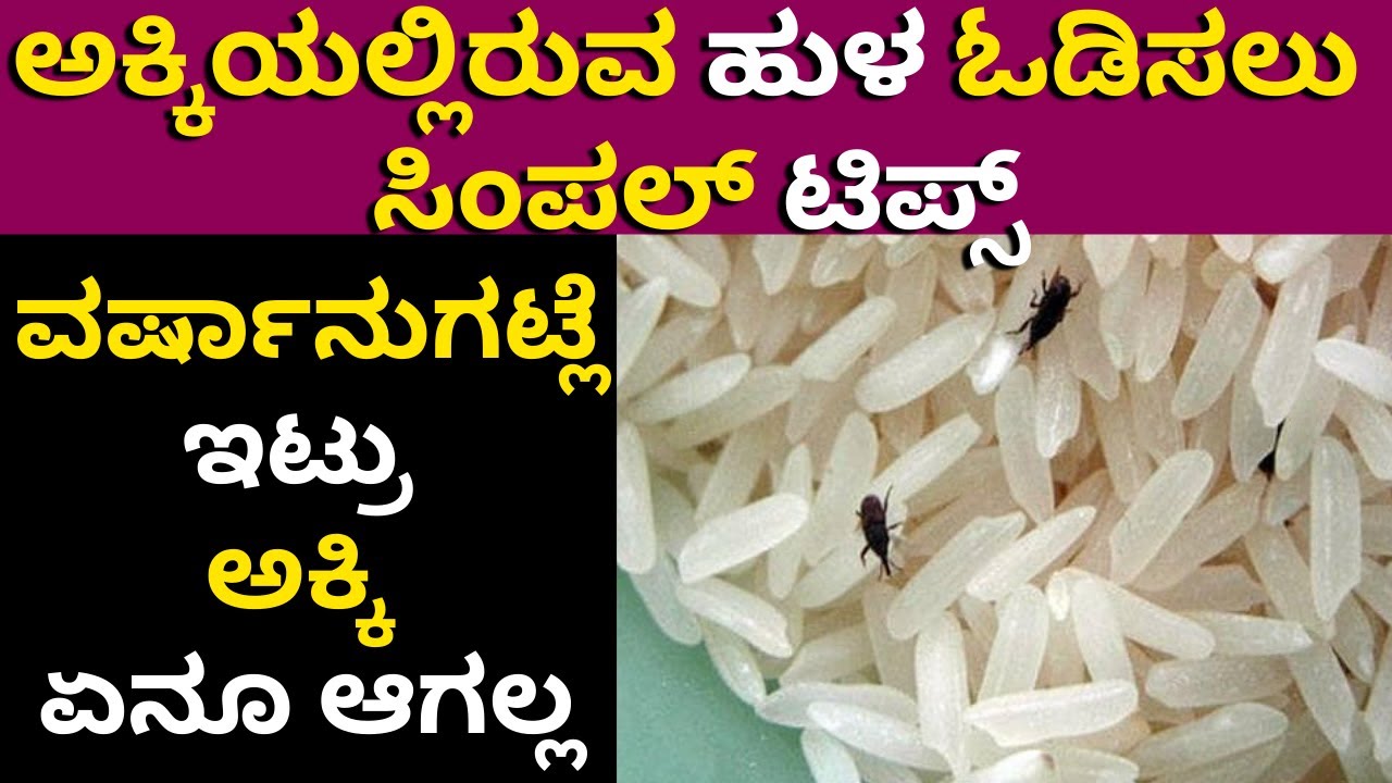 ಅಕ್ಕಿಯಲ್ಲಿ ಹುಳ ಆಗಿದ್ಯಾ? ಹೀಗೆ ಮಾಡಿ ಎರಡು ವರ್ಷ ಆದ್ರೂ ಅಕ್ಕಿ ಏನೂ ಆಗಲ್ಲ | How to store rice | AppisCookery