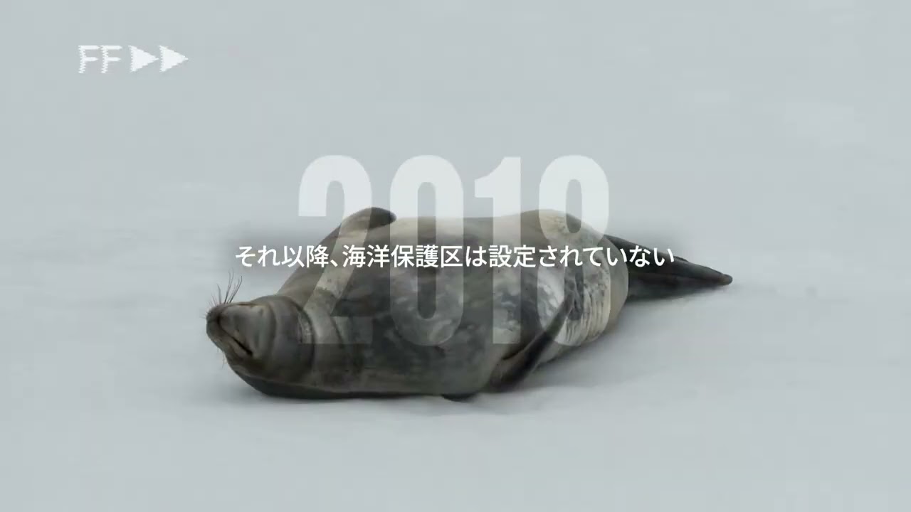 人類が最後にたどり着いた海 〜真っ先に守らねばない南極〜