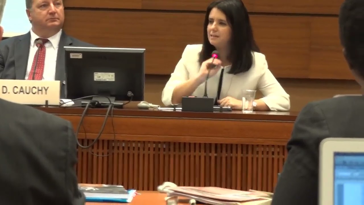 Macarena Rau ONU 2016_Evaluaci&oacute;n del Impacto CPTED