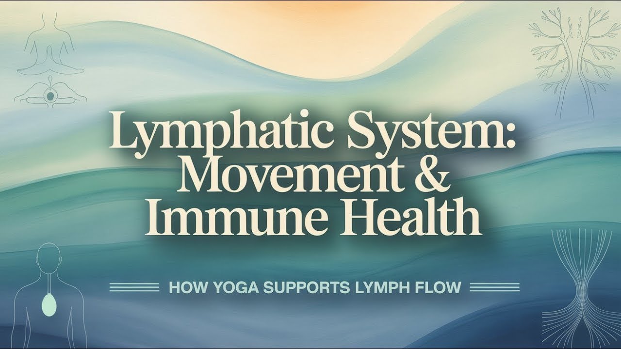 Overview of the Circulatory System part 3 | Yoga, Movement & Immune Health