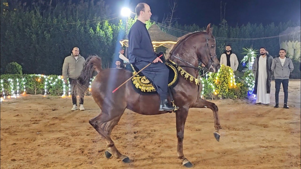 سلطانة بنت بهير الخطير و احمد هشام سرحان حفلة الدكتور محمد عبيد 2025