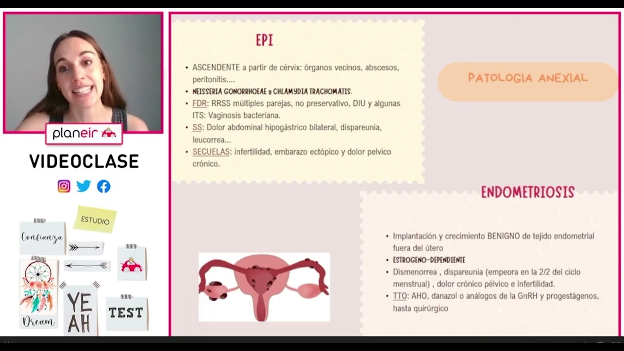 Un tour por nuestro aula virtual