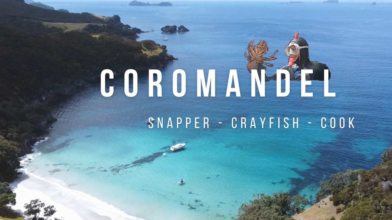 Spearfishing New Zealand | Snapper & Crayfish EVERYWHERE at The Mercury Islands (Catch & Cook)