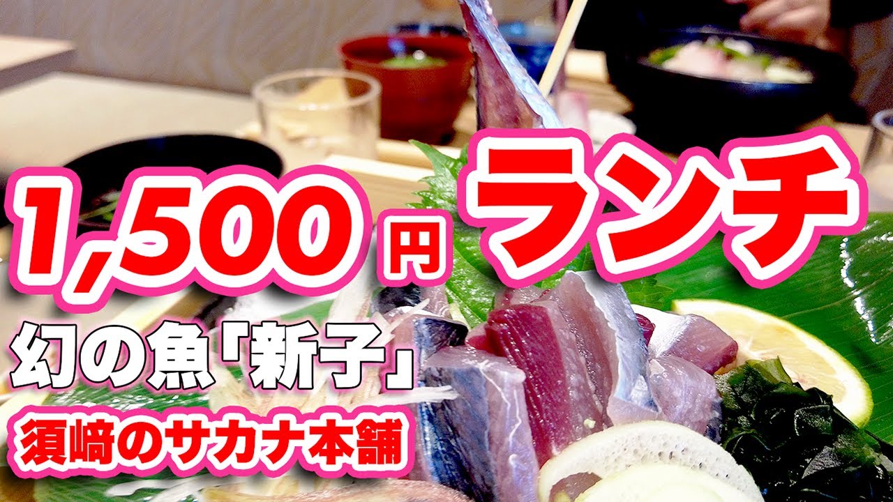 【高知グルメ】幻の新子（しんこ）を食べてみた！魚のまち『須崎』地元民おすすめの海鮮丼！【旅行VLOG、レビュー】高知でもなかなかお目にかかれない！季節限定の珍味！商店街活性化の成果を見に行ってみた！