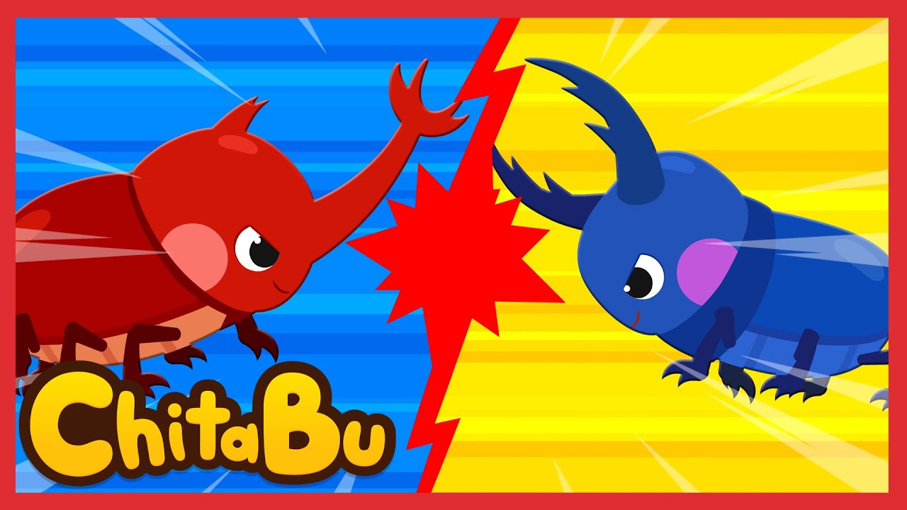 🪲Nashornkäfer vs Hirschkäfer🪲 | Beliebte Kinderlieder | #Chitabu