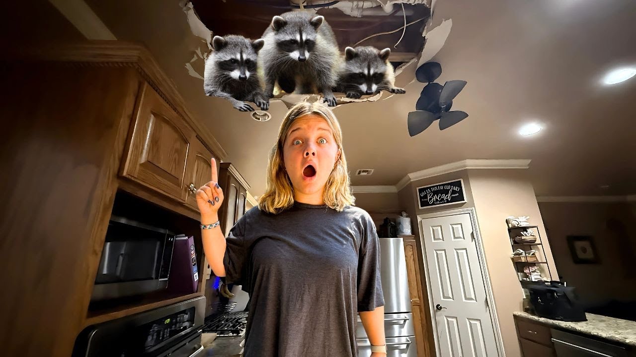 RACCOONs INVADE our HOUSE on the First Day of School for Aubrey and Caleb!