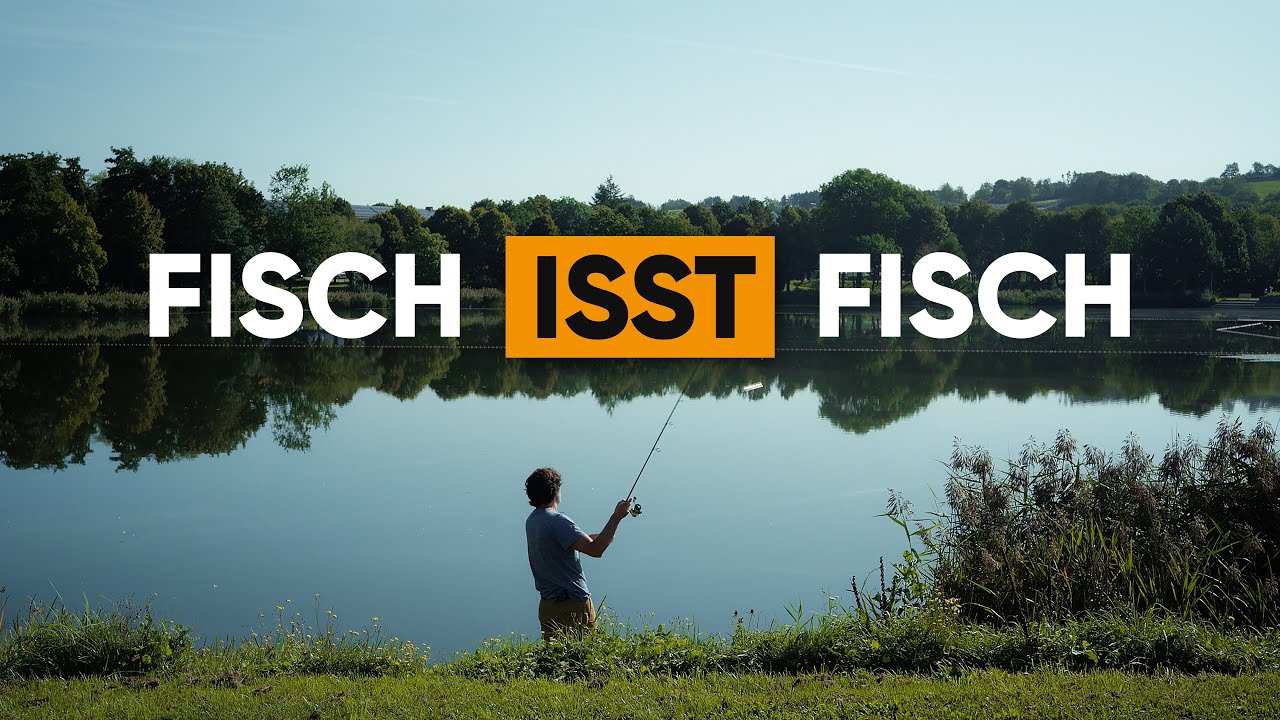 Die Schwachen den Starken, ein Hecht-Tag