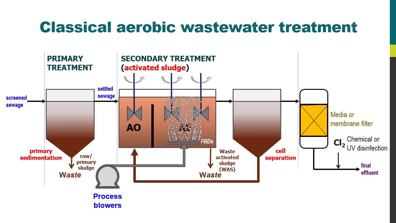 MBR Insights − Aerobic wastewater treatment with classical activated sludge