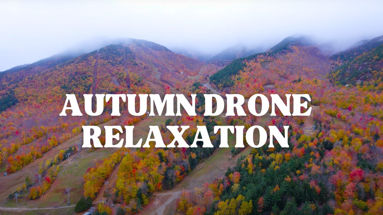 4K Foliage Background Video of Adirondack Mountains