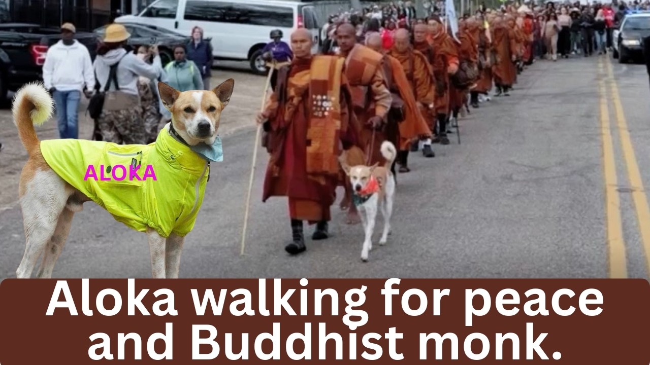 Aloka the walking for peace and buddhist monk Our Peace Gathering at Montgomery City Hall.