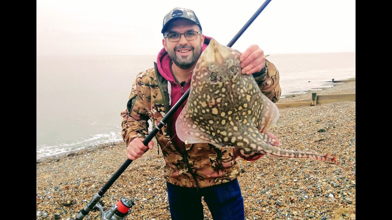 Jak złowić Thornback Ray w UK ? Wędkarstwo morskie z brzegu.