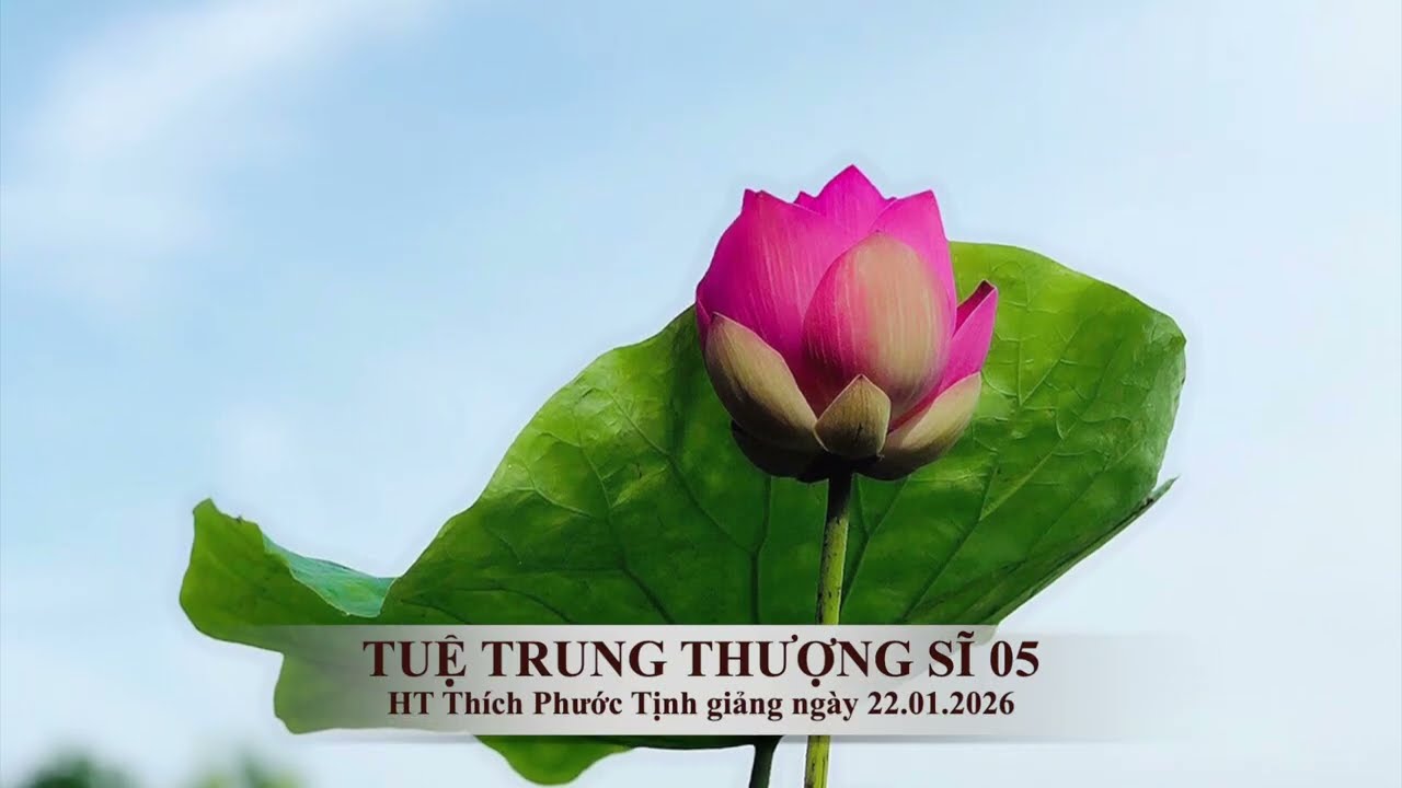 TUỆ TRUNG THƯỢNG SĨ 04