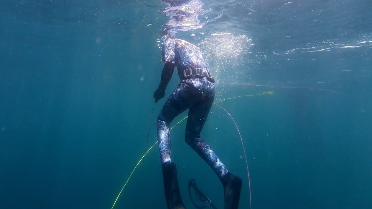 First Kingfish on the First Day of Spearfishing New Zealand