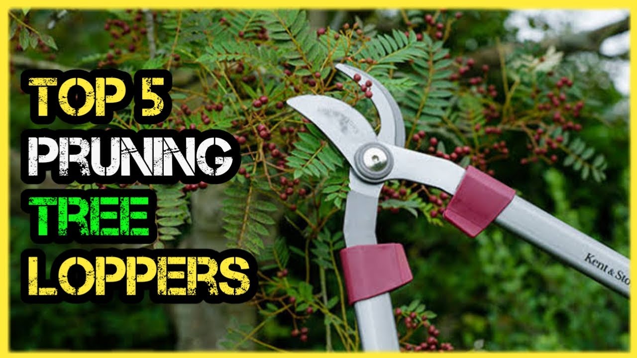 Best Loppers for Pruning Tree Branches (Reviews)
