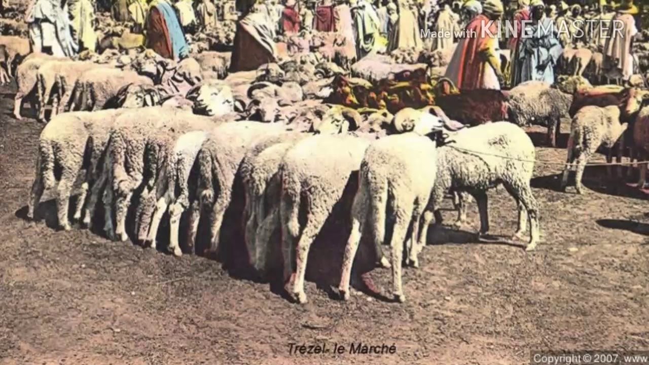 من الذاكرة صور قديمة لمدينة السوقر (TREZEL)